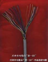 產(chǎn)品CPEV通信電纜CPEV-S通信電纜簡介