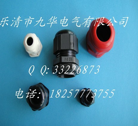 生產(chǎn)PG11尼龍電纜防水接頭/電纜固定頭/鎖緊頭 廠家直銷 超低價(jià)