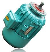ZDM22-4 2.0KW 起重電機(jī)  錐形轉(zhuǎn)子三項(xiàng)異步電機(jī)