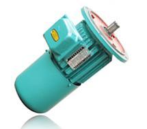 南京江陵電機YSZ100L-4 3.0