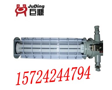 DGS36/127Y（T），DGS36/127Y（T）礦用熒光燈