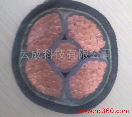YJV-1*10現(xiàn)貨供應(yīng)