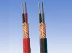 遼陽DJYPVP總屏蔽電纜生產(chǎn)，遼陽計算機(jī)電纜DJYPVP銷售，