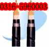 海域2*2.5電纜生產|485電纜銷售|485供應|