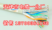 南通本安電纜型號，南通IADJYPVP本安電纜，南通本安電纜供應(yīng)