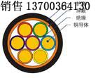 南通礦用隔爆本安電纜生產(chǎn)，南通礦用隔爆本安IAKVVR電纜銷售