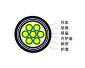 吳江電廠阻燃計(jì)算機(jī)電纜銷售，吳江電廠計(jì)算機(jī)電纜供應(yīng)，