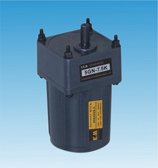 利崐電機(jī)，6W帶阻尼可逆電機(jī)，質(zhì)量好，價(jià)格優(yōu)惠