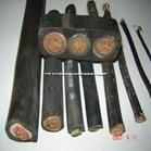 MC0.38/0.66KV,MC*0.38/0.66KV*3x50  端午折上折