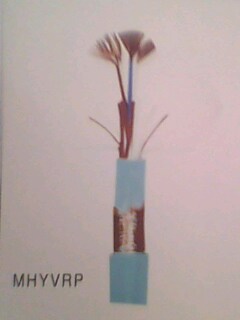 國標(biāo)銅芯ZRVV,ZRYJV阻燃交聯(lián)動力電纜價格