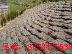 山東東方生態(tài)袋，名牌產(chǎn)品，最低價(jià)格生態(tài)袋