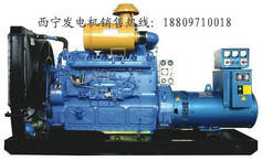 青海星光上柴柴油發(fā)電機(jī)廠家直銷