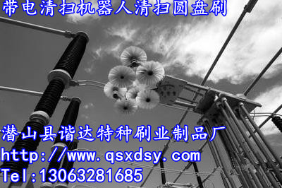 超高壓機(jī)器人清掃圓盤(pán)刷