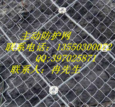GPS2主動(dòng)防護(hù)網(wǎng)