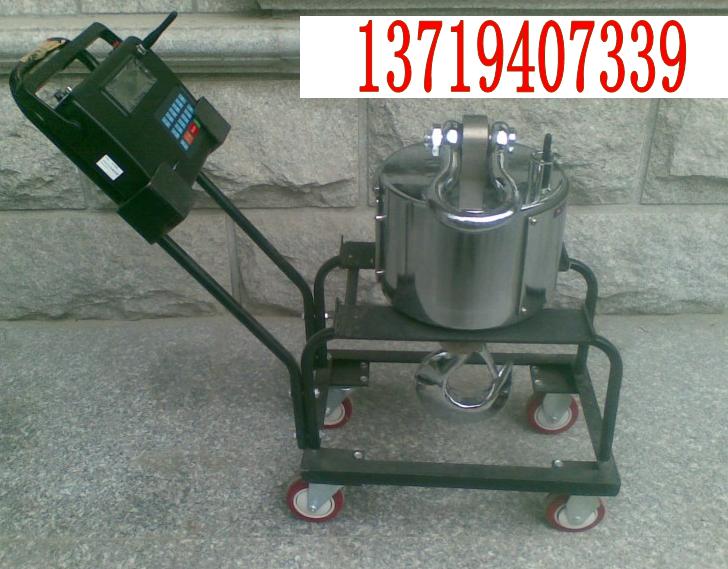 無線數(shù)傳電子吊秤-無線帶打印電子吊秤（5噸-10噸-15噸）