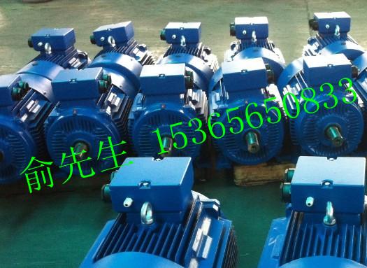 現(xiàn)貨批發(fā)銷YX3-802-4-0.75KW上海高效電機(jī)、機(jī)殼、端蓋