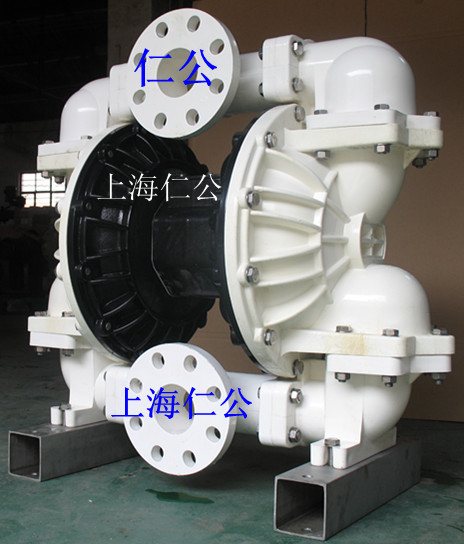 上海仁公高檔聚偏氟乙烯（PVDF）氣動隔膜泵RG80、電動隔膜泵