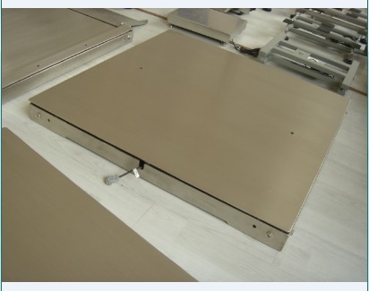 供應(yīng)XK3101-3T不銹鋼磅稱，防水不銹鋼磅稱