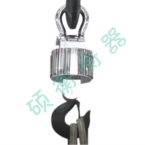 安遠1噸吊秤,龍南2噸吊秤,定南3噸吊秤,全南5噸吊秤