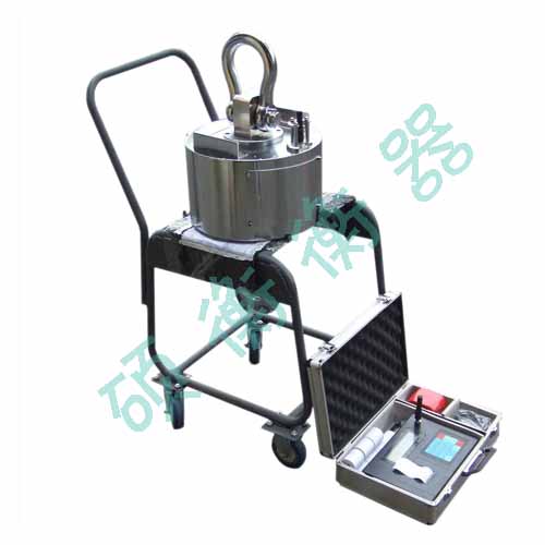 奉新1噸吊秤,萬載2噸吊秤,上高3噸吊秤,宜豐5噸吊秤