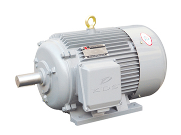 Y系列6KV、10KV高壓三相異步電動機(jī)