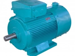 YZP、YZPF系列起重及冶金用變頻調(diào)速三相異步電動(dòng)機(jī)