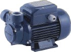 PQ60水泵，PEDROLLO PQ60水泵