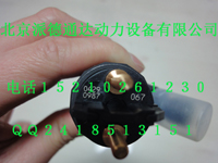 出售道依茨04280987噴油器/04280987  到貨了！