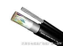 vlv電纜 VLV22鎧裝電纜報(bào)價(jià) 天津電纜總廠橡塑電纜廠