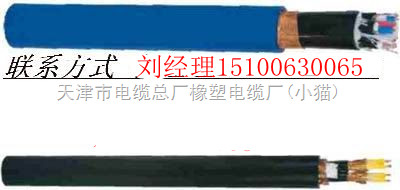 RVSP屏蔽雙絞電纜 RVSP屏蔽雙絞線價(jià)格 阻燃屏蔽雙絞線報(bào)價(jià)