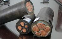 輕型橡套電纜YQ YQW電纜價(jià)格與技術(shù)參數(shù)