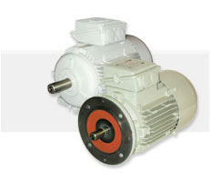 天津賽力斯優(yōu)價(jià)供應(yīng)德國(guó)SSB電機(jī)、SSB伺服電機(jī)、SSB微型電機(jī)