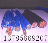 計(jì)算機(jī)電纜JVV、JVVP、DJYPRV
