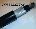 全塑鎧裝控制電纜-KVVP-22屏蔽鎧裝控制電纜產品提供