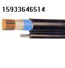 應(yīng)索道通信電纜型號(hào)：HYAC，HYYC