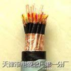 RVVZ22 鎧裝通信電源設備線