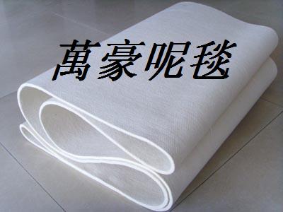 中國(guó)高溫呢毯帶 中國(guó)高溫呢毯帶規(guī)格 中國(guó)高溫呢毯帶價(jià)格