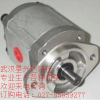 HGP-2A-F6R齒輪泵