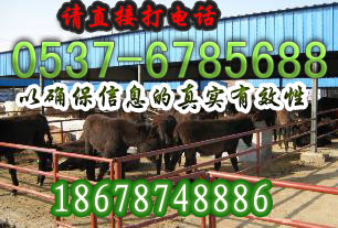養(yǎng)牛場(chǎng) 養(yǎng)羊成本養(yǎng)牛場(chǎng) 養(yǎng)羊成本養(yǎng)牛場(chǎng) 養(yǎng)羊成本養(yǎng)牛場(chǎng) 養(yǎng)羊成本