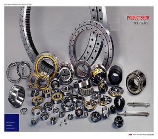 德國(guó)RINGSPANN逆止器、超越離合器、單向離合器、制動(dòng)器