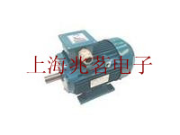 英國(guó)Brook Crompton起重變頻調(diào)速制動(dòng)電機(jī)