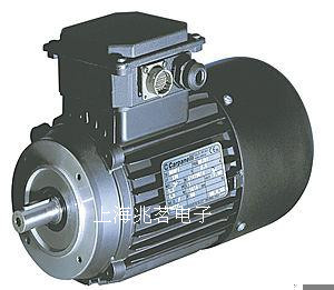 意大利CARPANELLI特殊電機(jī)