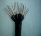 9灏嶈▓绠楁(j墨)闆荤簻澶氬皯閷竴绫� 寤犲鍫卞児DJYVP9*2*1.0