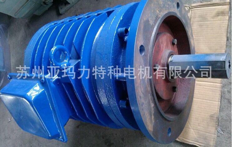 YG系列輥道用三相異步電動機(jī)