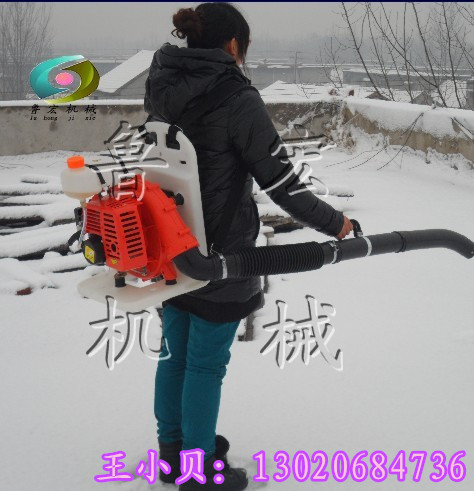 背負(fù)式吹雪機(jī)價(jià)格 汽油吹風(fēng)機(jī)圖片