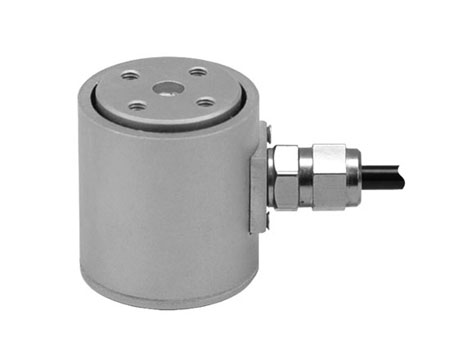 CRS-200kg//柱式