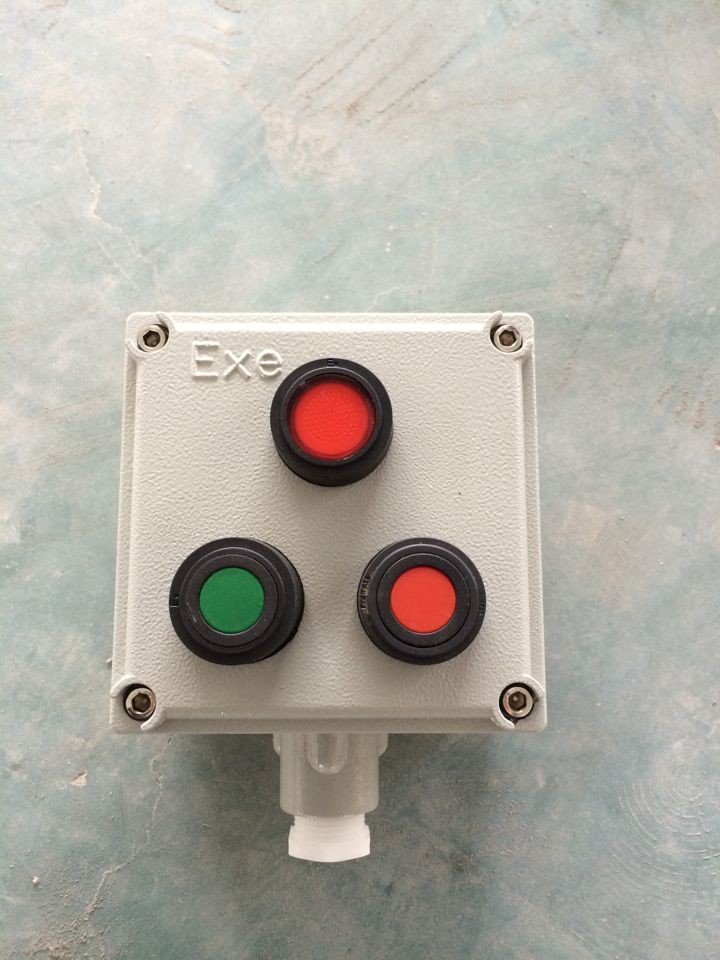 BZC51-A2D1K1L防爆操作柱，BZC51-A2L防爆操作柱