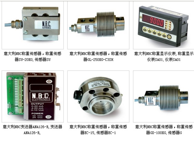 N.B.C Elettronica SA02 24V【原裝正品】