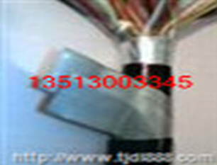 djyvrp-5*2*0.7軟芯計(jì)算機(jī)控制電纜