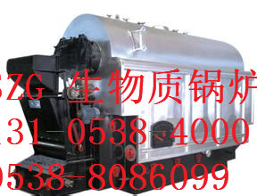 嵊州2噸燃?xì)忮仩t生產(chǎn)廠家